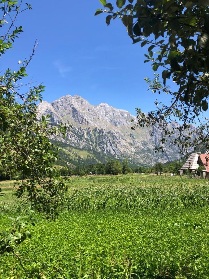 Guest House Ledio Valbona Kültér fotó