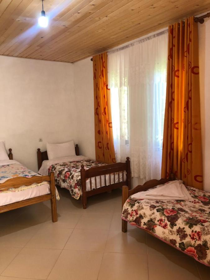 Guest House Ledio Valbona Kültér fotó